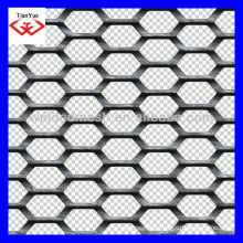 hexagonal expanded metal mesh(factory, ISO9001,2000)